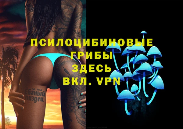 бошки Алексин