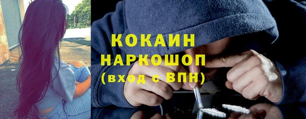 бошки Алексин