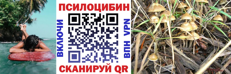 купить  сайты  Бирск  Псилоцибиновые грибы Psilocybine cubensis 