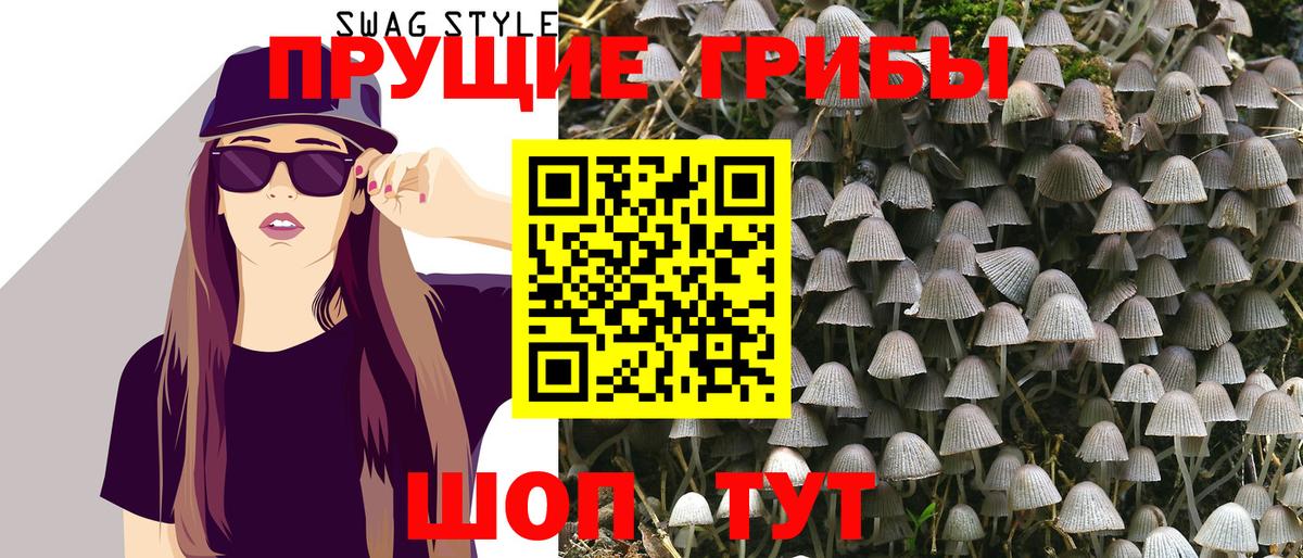 Бирск  Псилоцибиновые грибы Psilocybe  Псилоцибиновые грибы мицелий  Вход с VPN 